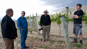 Olly, Andy, Bob & Rich on the vineyard